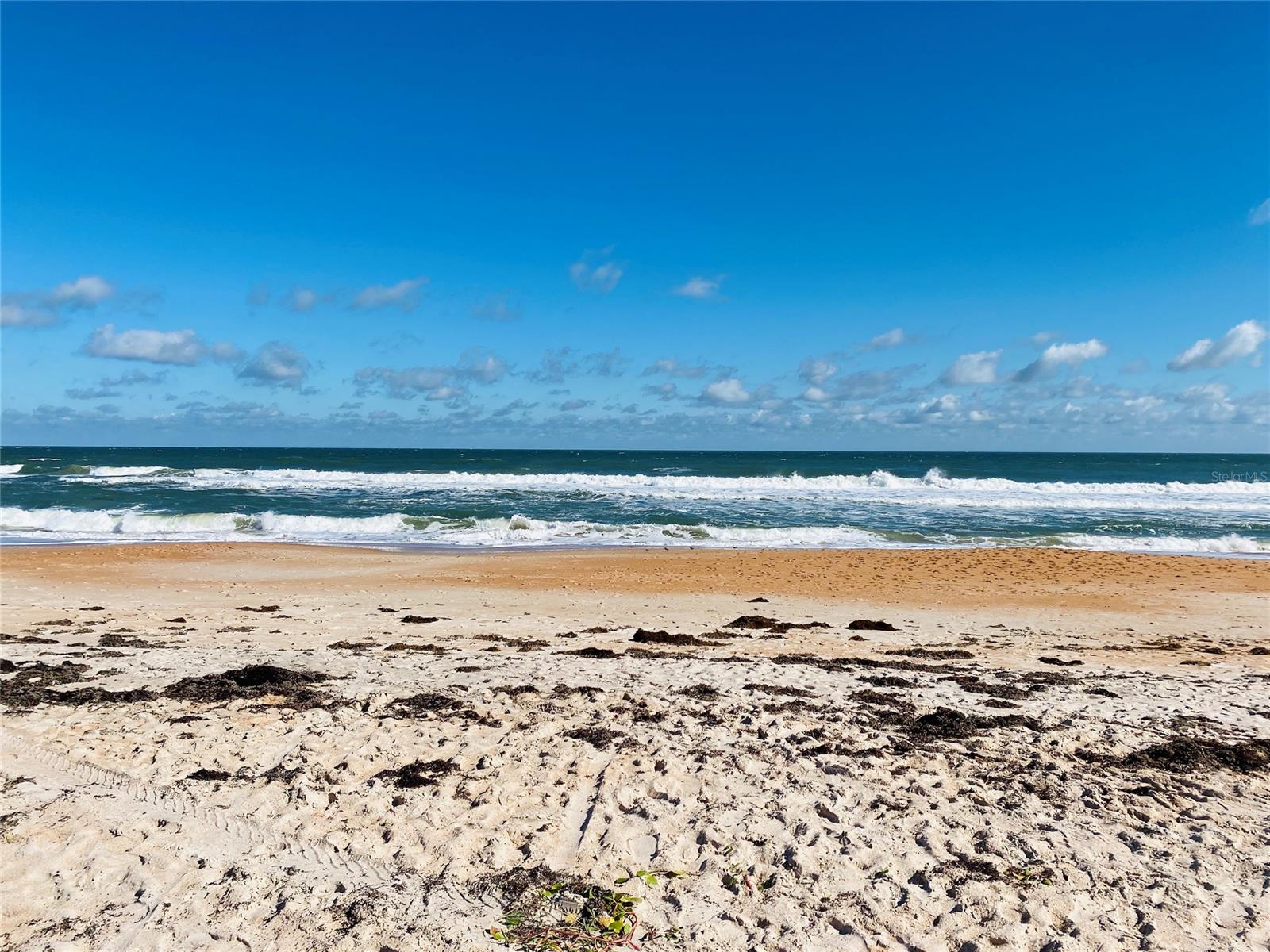 Plaza Shores - Residential