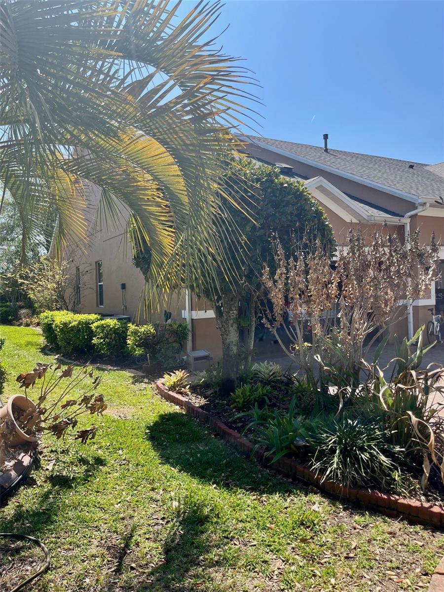 CASCADES OF GROVELAND (TRILOGY) - Residential