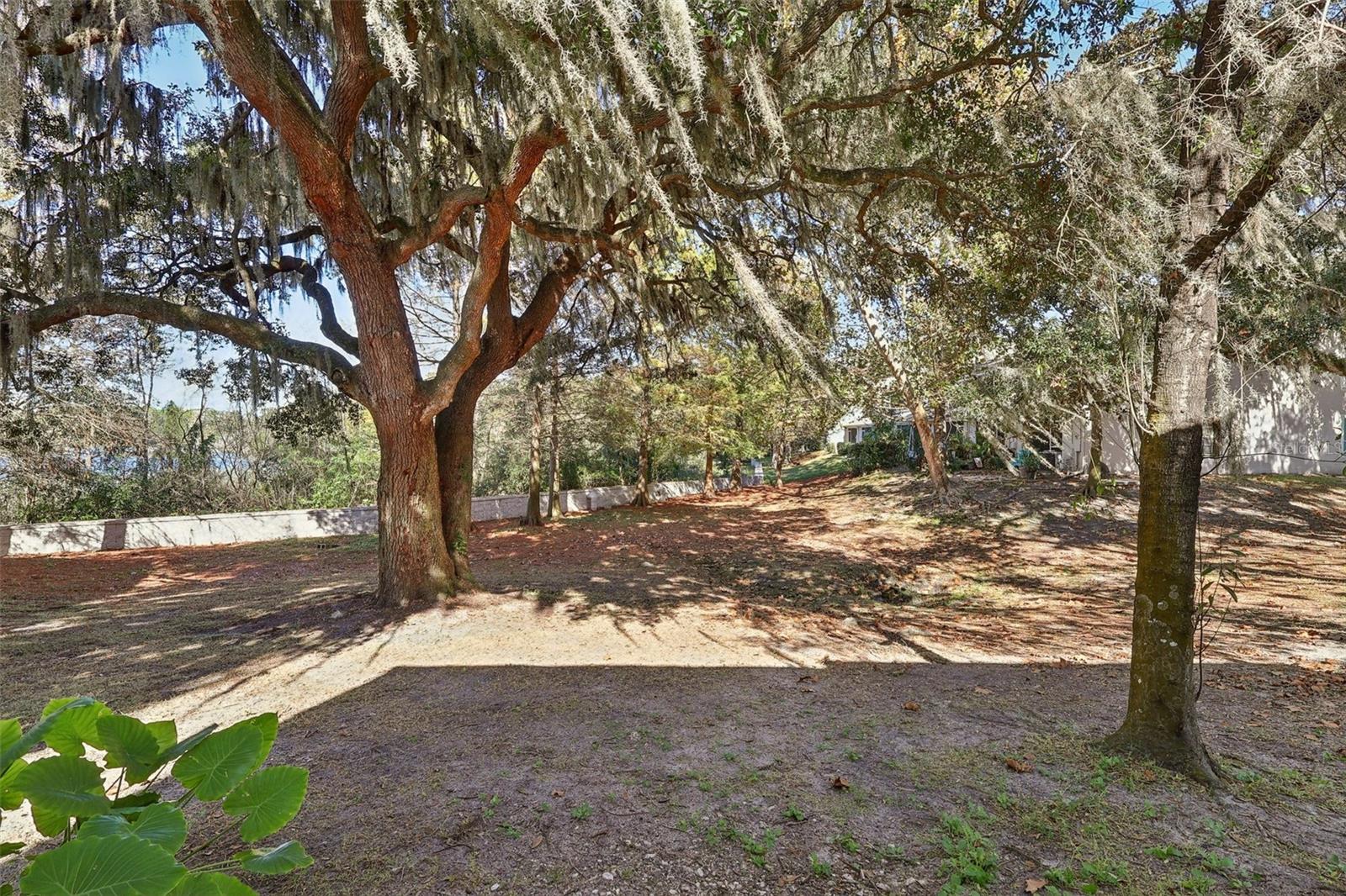 CHASE TWNHMS - Residential