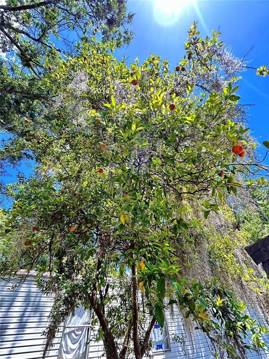 ROCK SPRINGS MOBILE HOME PARK - Residential