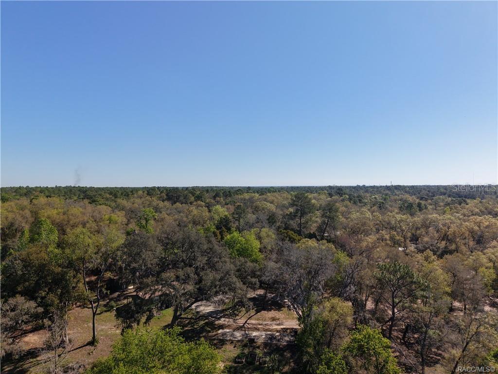 1321 E AMBERJACK DRIVE
