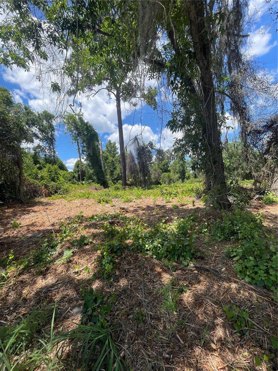 Photo of County Road 42, Umatilla, FL 32784 (MLS # G5113276)