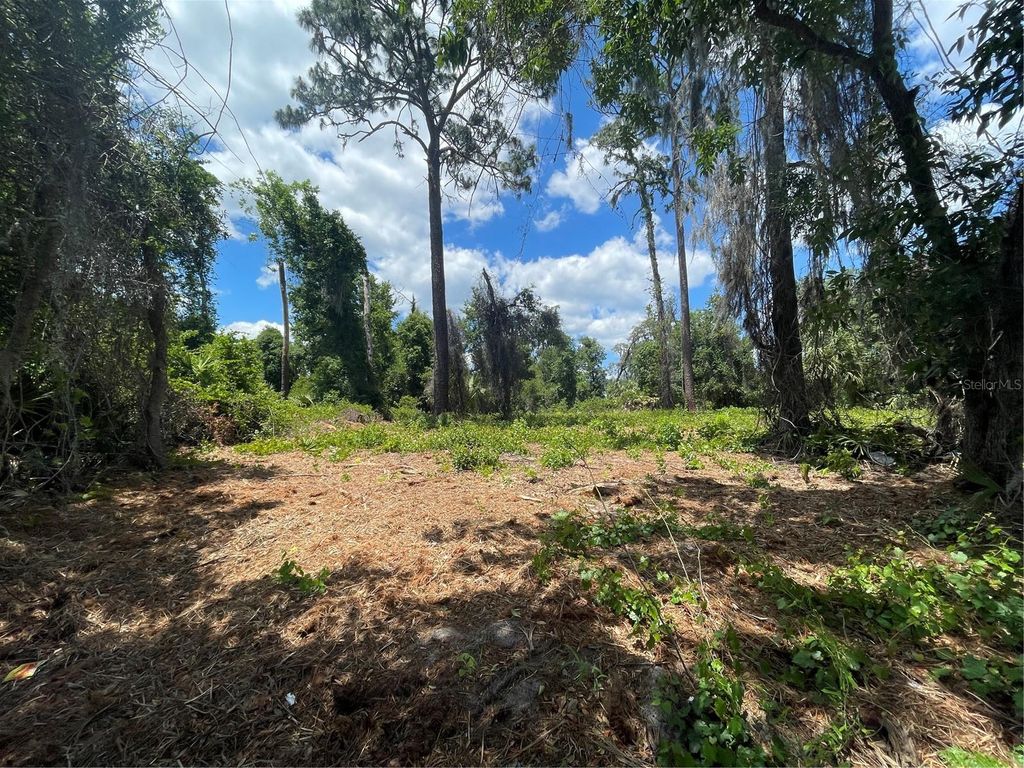 Photo of County Road 42, Umatilla, FL 32784 (MLS # G5113276)