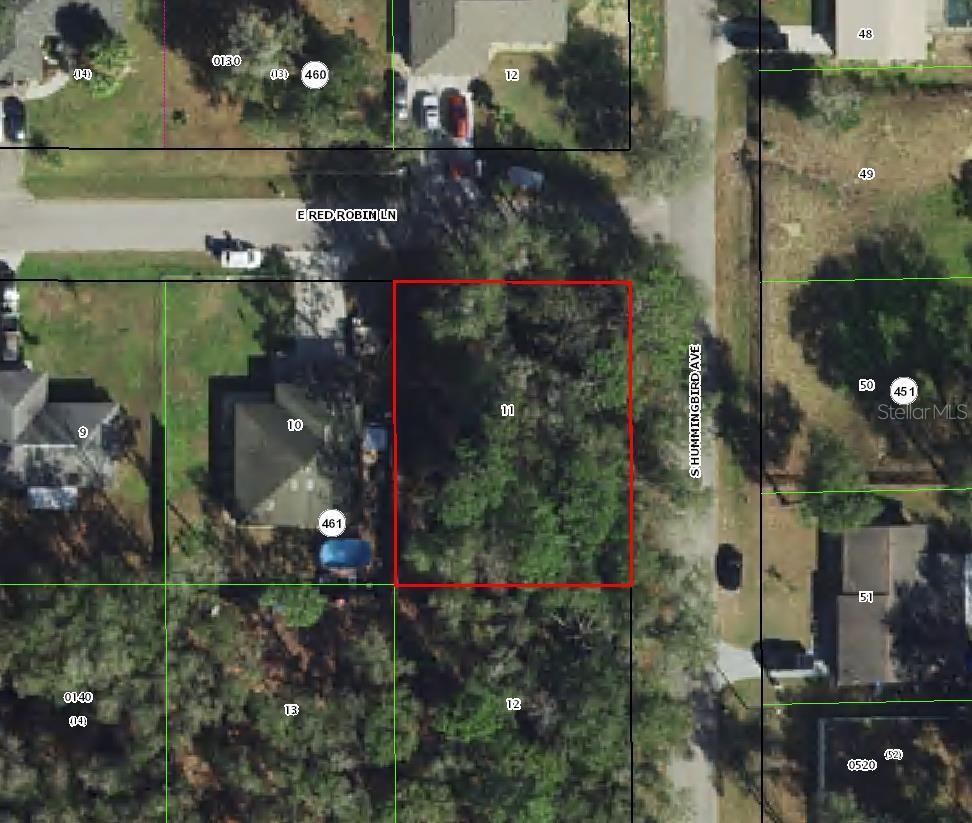 Photo of 6856 E Red Robin Lane, Inverness, FL 34452 (MLS # TB8552373)