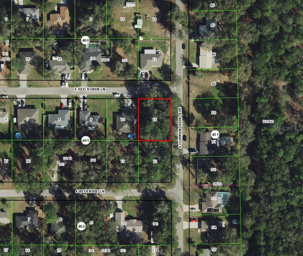 Photo of 6856 E Red Robin Lane, Inverness, FL 34452 (MLS # TB8552373)