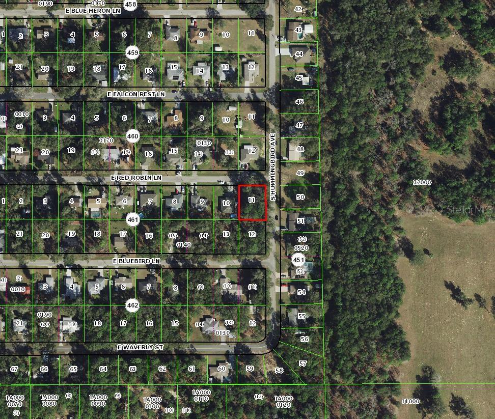 Photo of 6856 E Red Robin Lane, Inverness, FL 34452 (MLS # TB8552373)