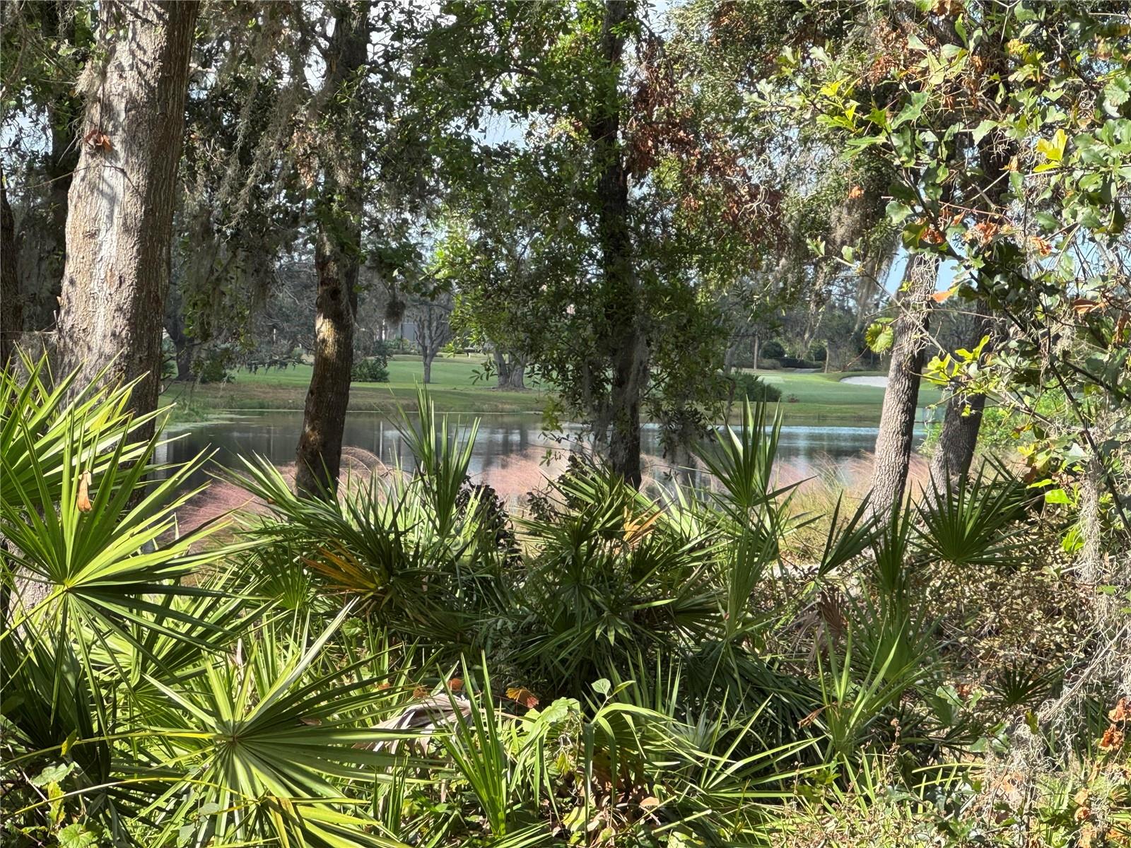 ESPLANADE GOLF AND COUNTRY CLUB - Residential