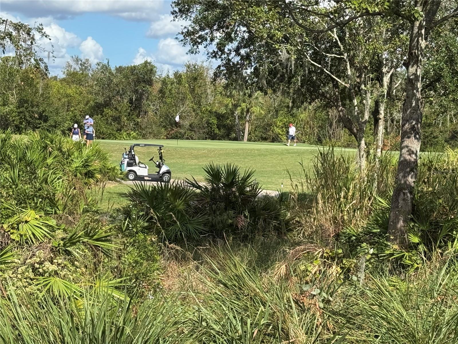 ESPLANADE GOLF AND COUNTRY CLUB - Residential