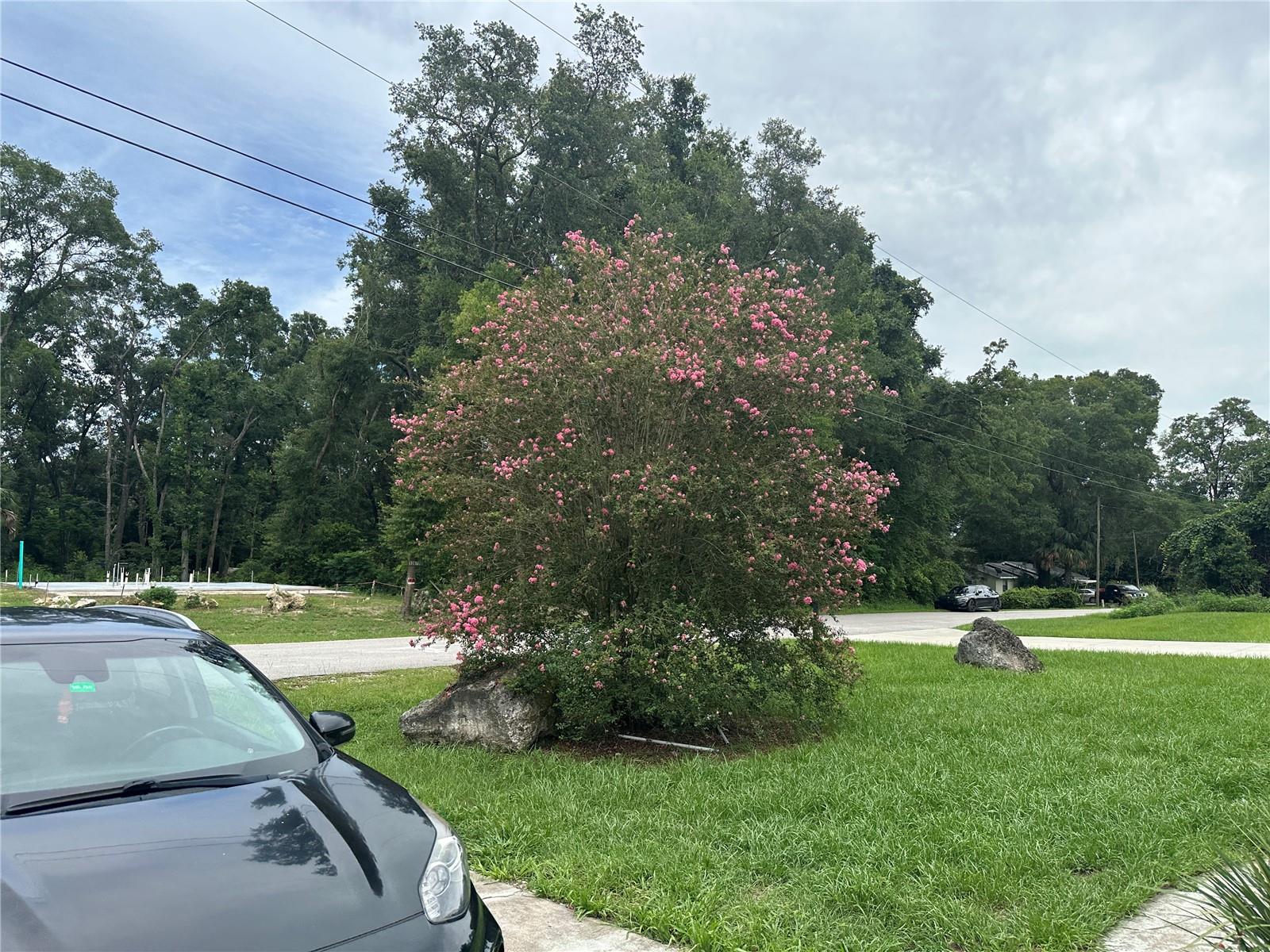 BELLEVIEW HEIGHTS ESTATE - Residential Lease