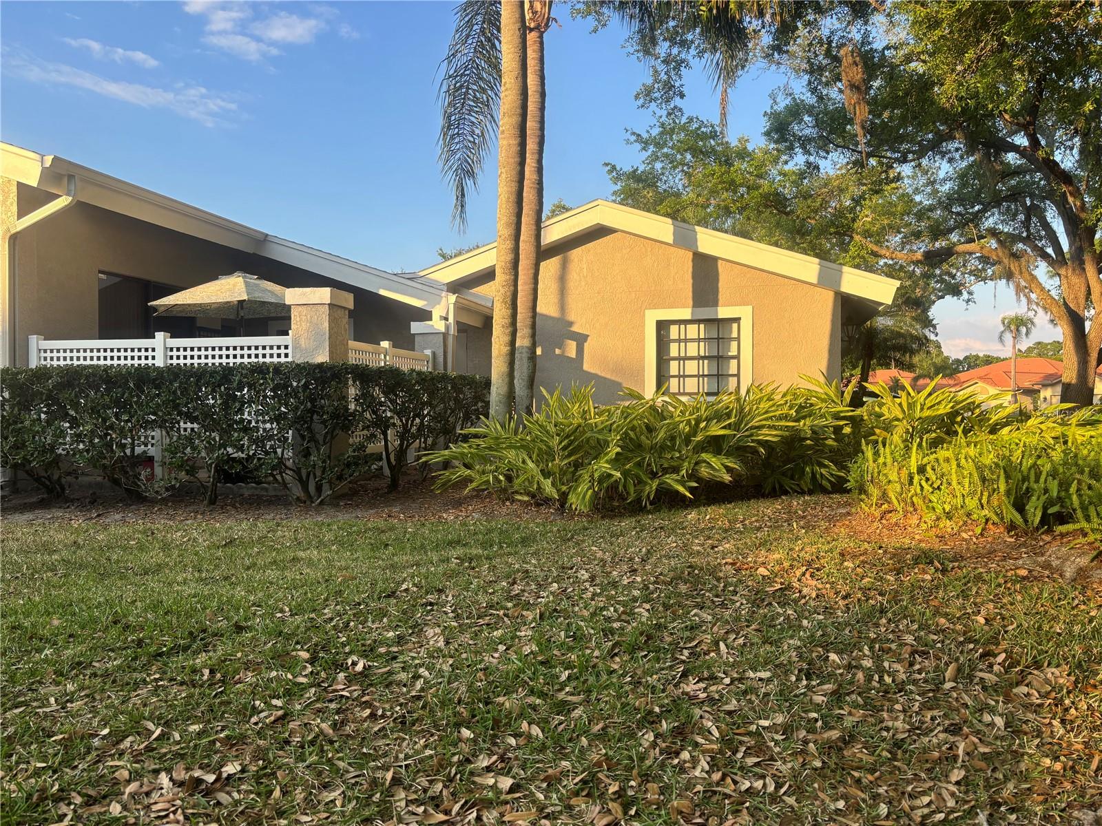 HAMPSTEAD HEATH - Residential