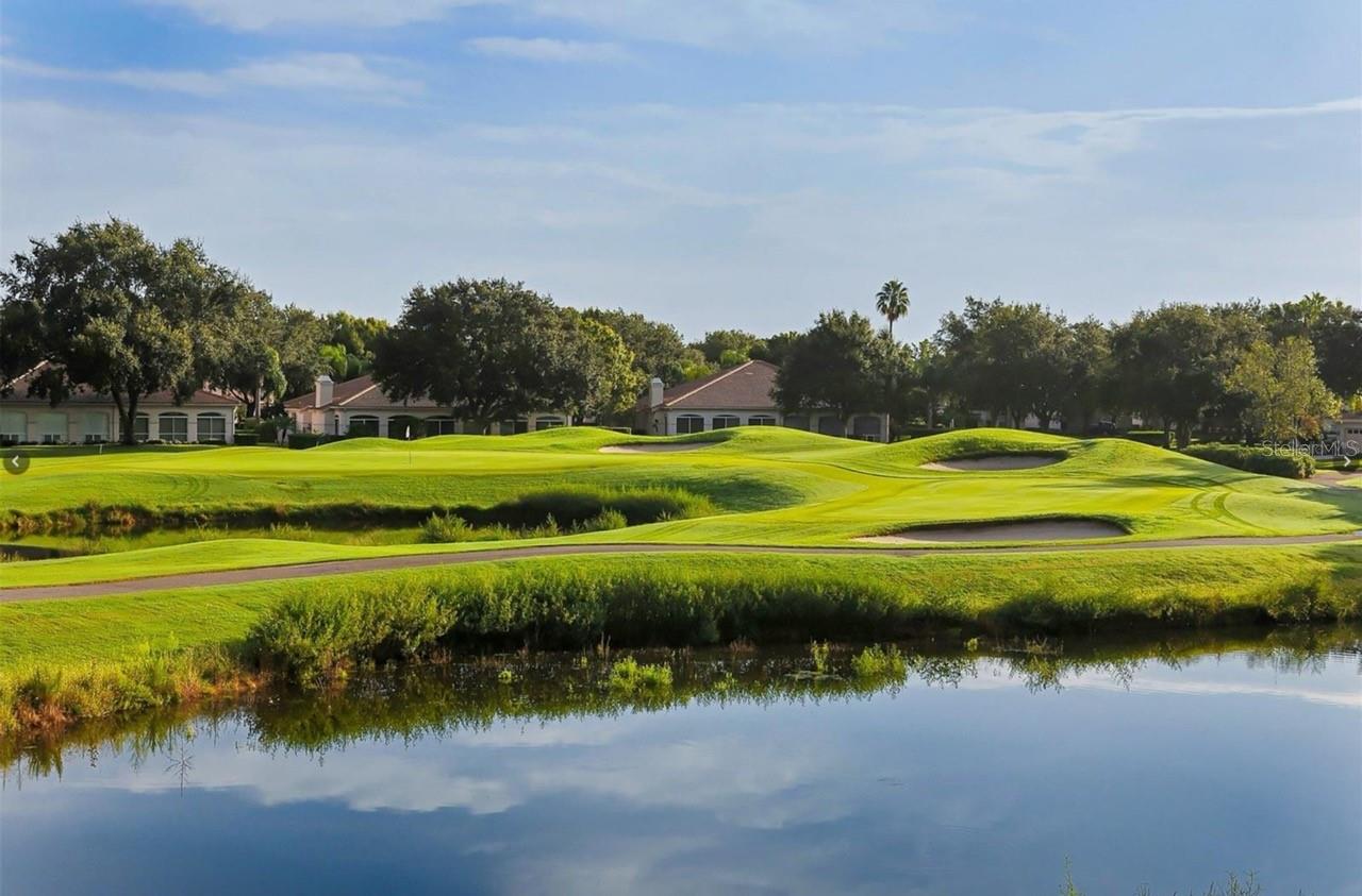 HAMPSTEAD HEATH - Residential