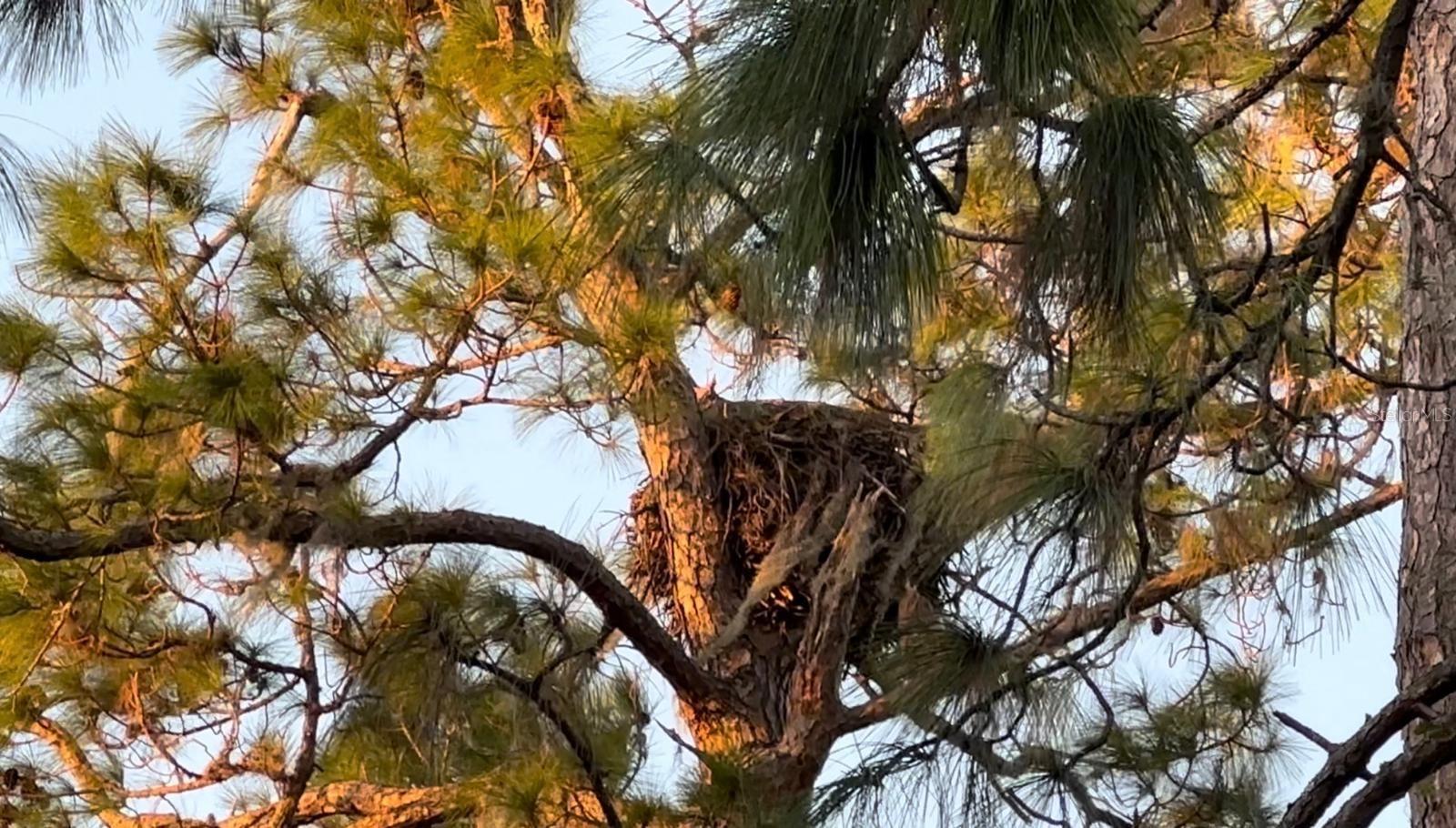 DRAYTON-PRESTON WOODS/PROVIDEN - Residential