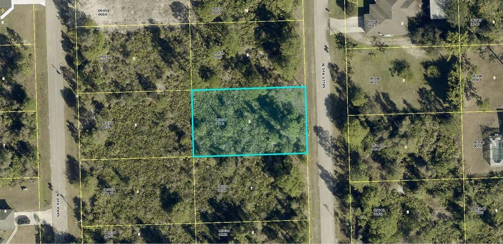Photo of 6005 Sally Avenue N, Lehigh Acres, FL 33971 (MLS # A4700957)