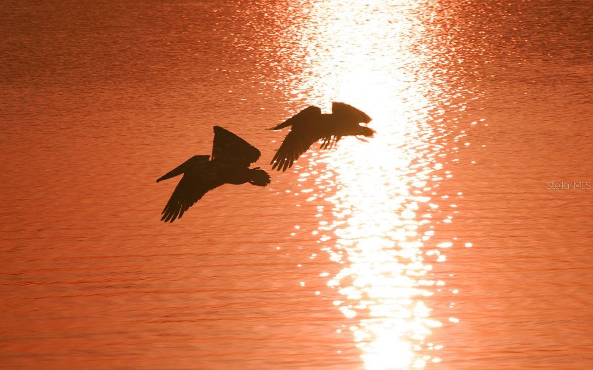 WHITNEY BEACH - Residential