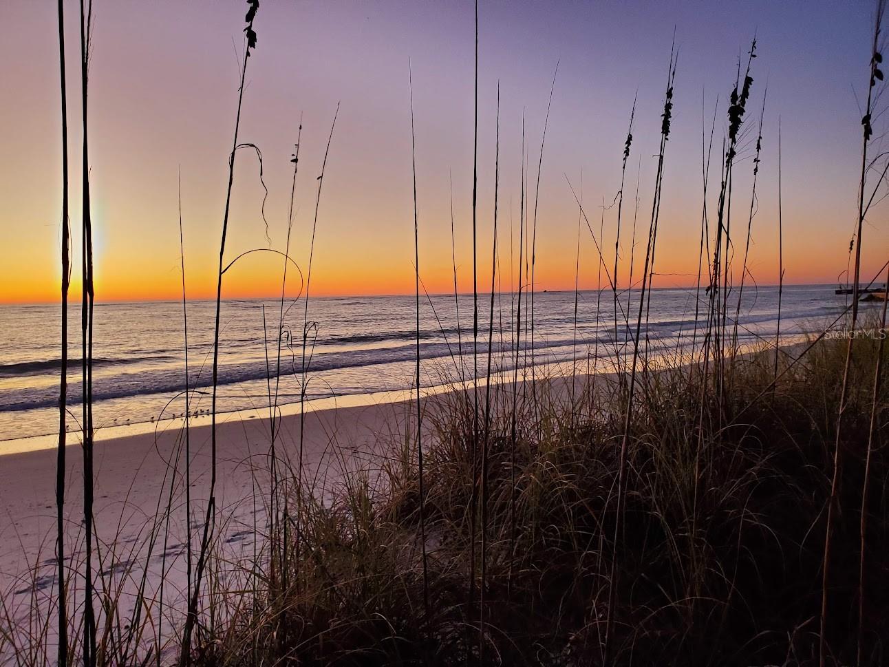 WHITNEY BEACH - Residential