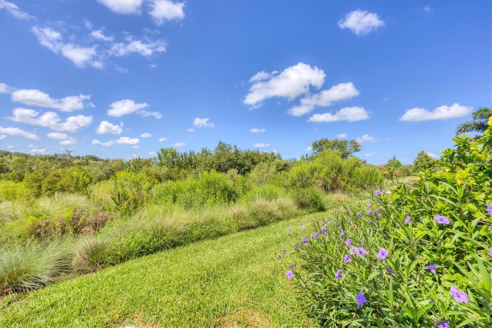 LAKEHOUSE COVE/WATERSIDE PH 1 - Residential