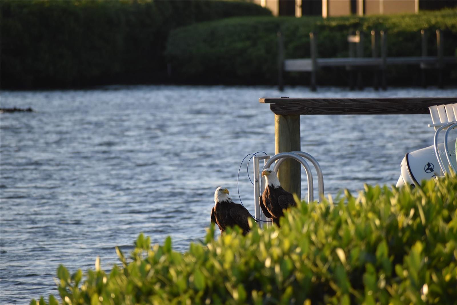 PALMA SOLA HARBOUR SEC 4 - Residential