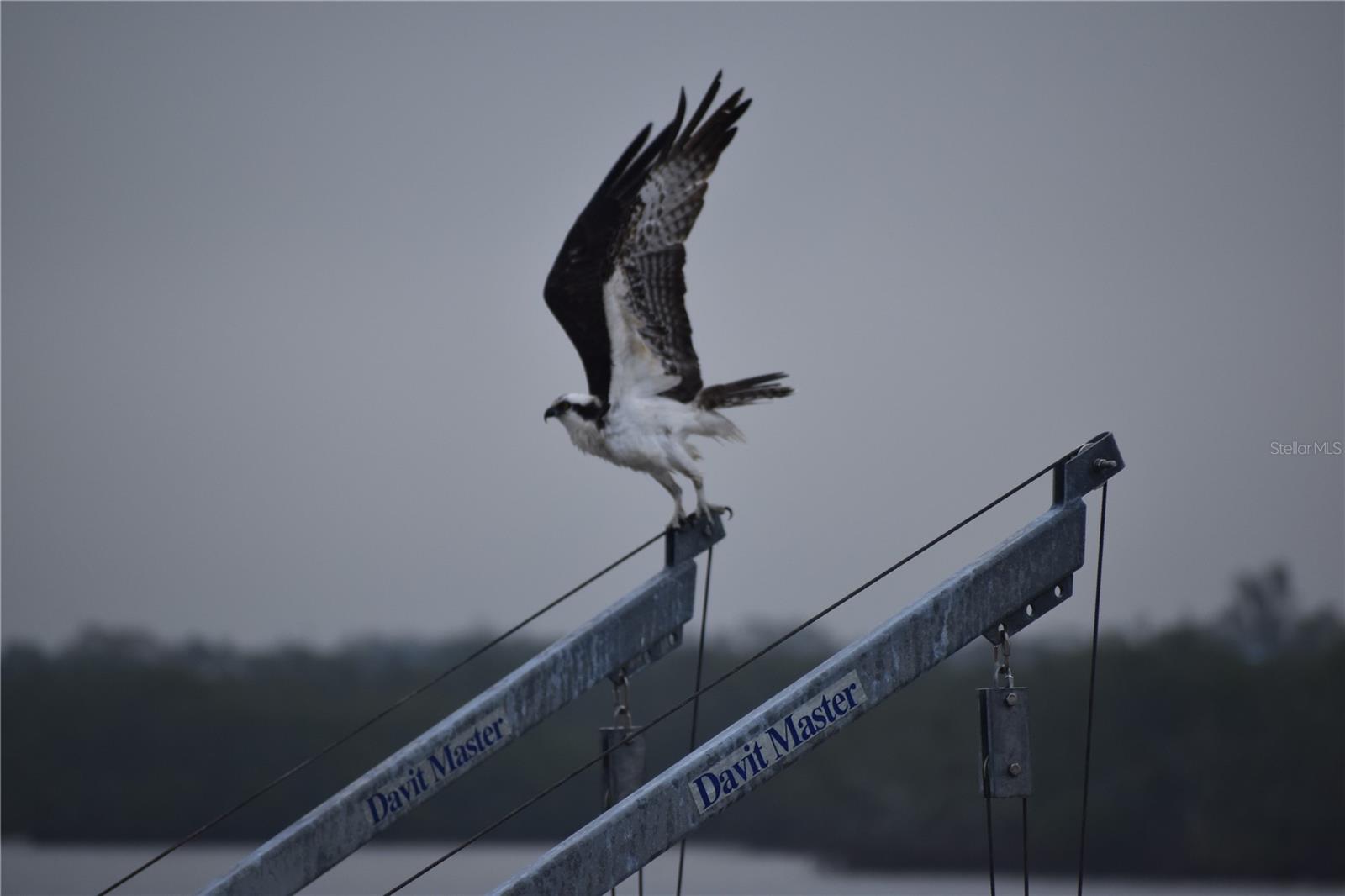 PALMA SOLA HARBOUR SEC 4 - Residential