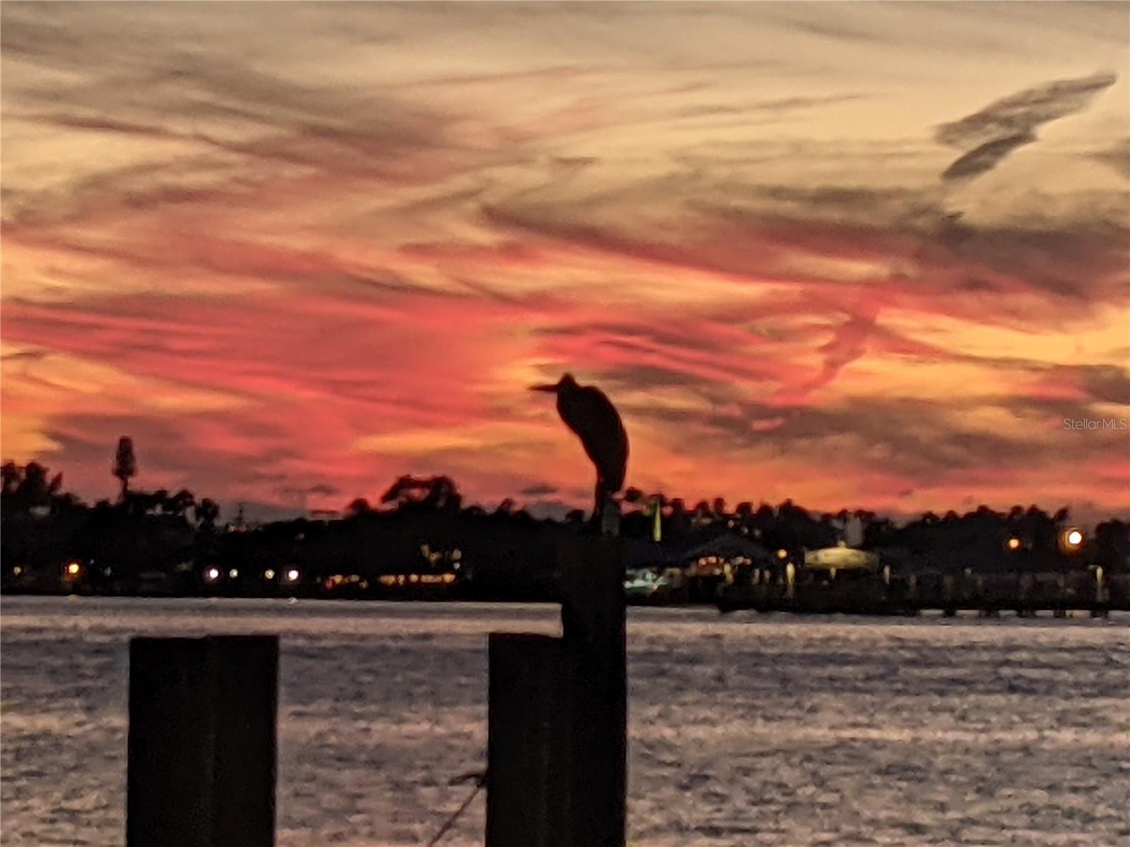 PALMA SOLA HARBOUR SEC 4 - Residential