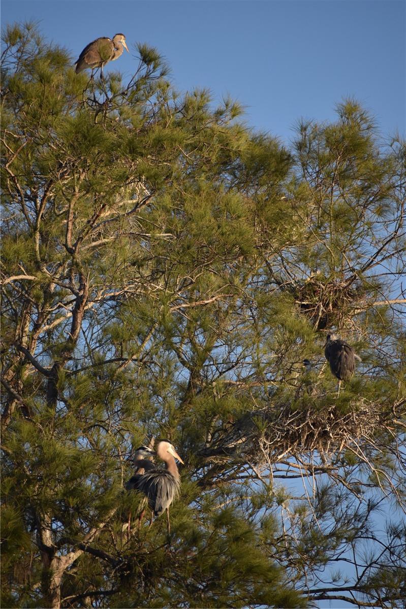 PALMA SOLA HARBOUR SEC 4 - Residential