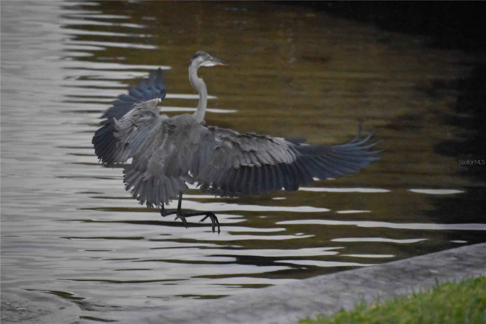 PALMA SOLA HARBOUR SEC 4 - Residential