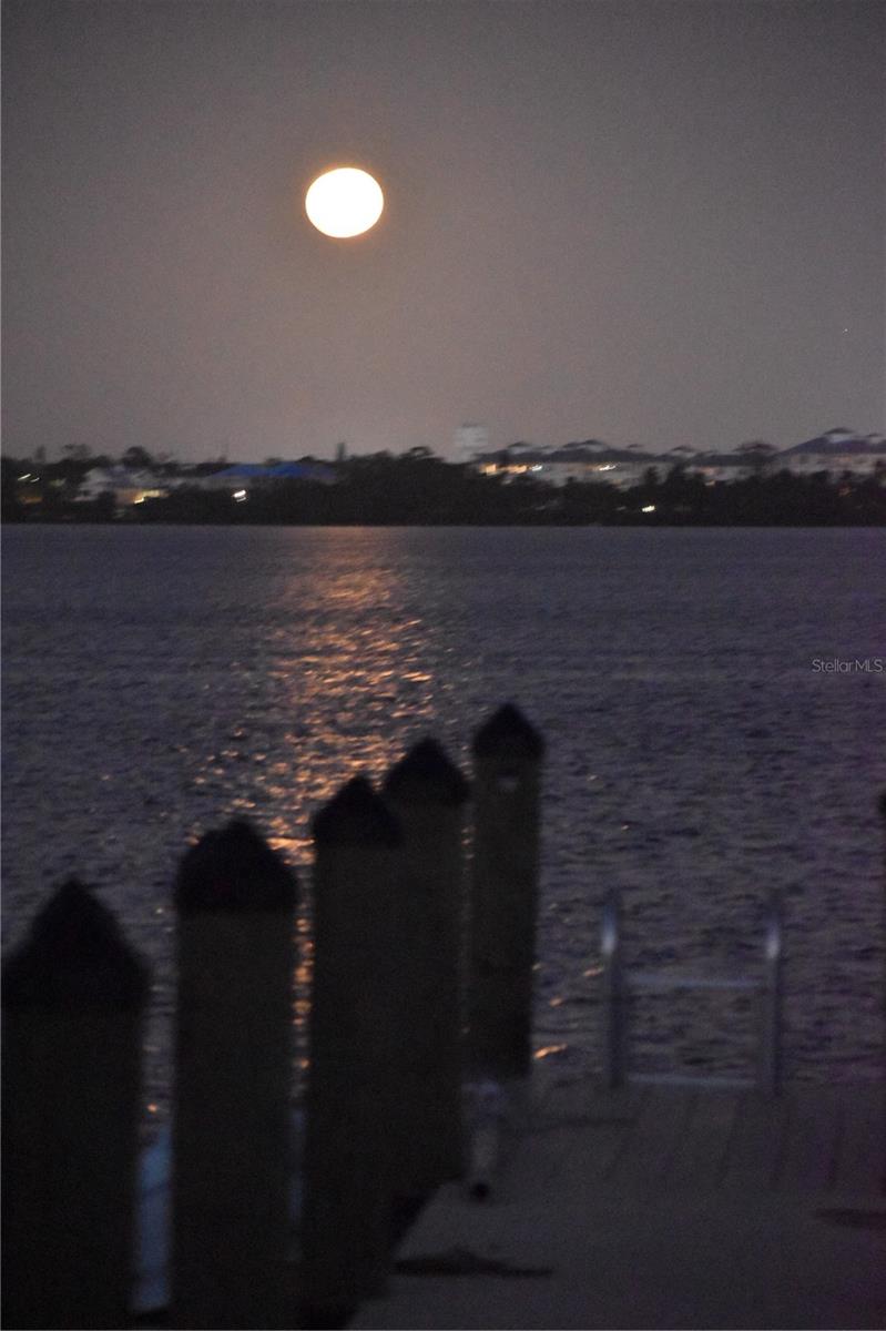 PALMA SOLA HARBOUR SEC 4 - Residential