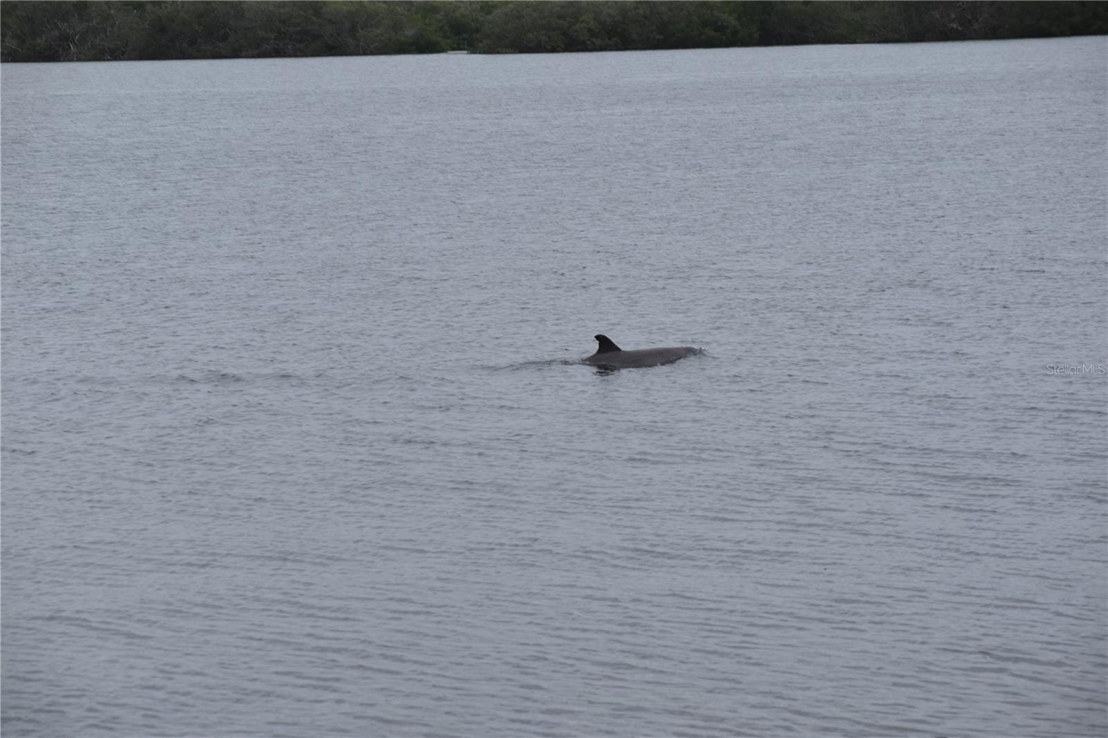 PALMA SOLA HARBOUR SEC 4 - Residential