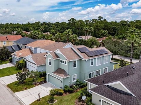 A home in TAMPA