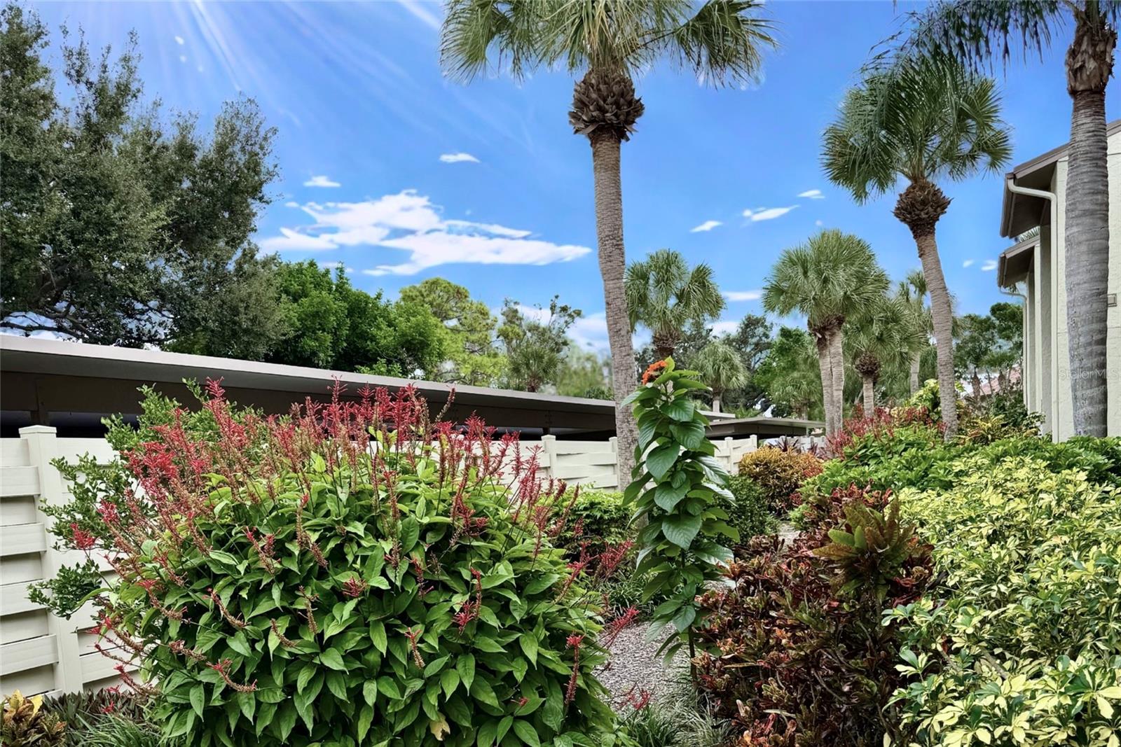 BIRD BAY V - Residential