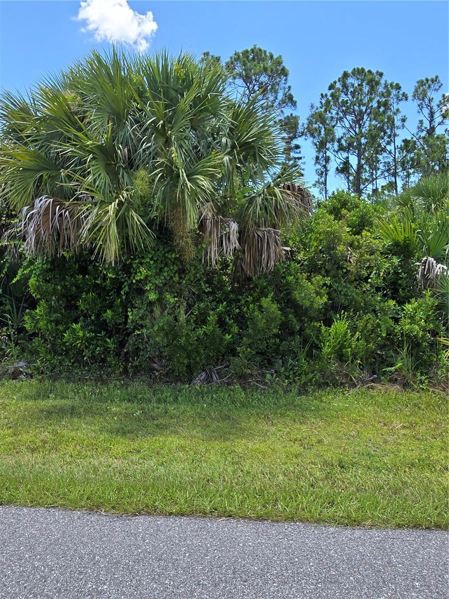 Welcome to the boating community of South Gulf Cove! This could be one of 2 lots for you!! The lot next to it is also being sold (tax ID 412127180006). Optional HOA. Bring your own builder or purchase and hold as an investment. Port Charlotte is a fast-growing town close to boat ramps, major airports, beaches, dining, shopping, the Atlanta Braves spring training stadium, Tampa Bay Rays stadium, and many walking/biking trails.