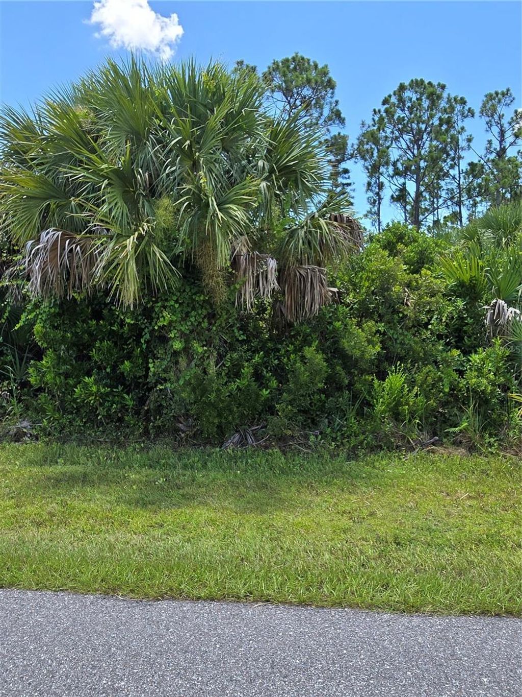 Photo of 15073 Hennipen Circle, Port Charlotte, FL 33981 (MLS # D6143326)