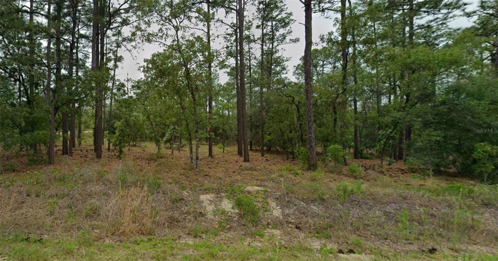 Photo of Southeast 129th Court, Dunnellon, FL 34431 (MLS # S5159555)