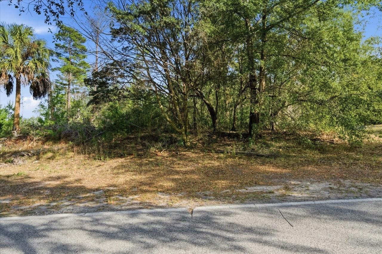 SUGARMILL WOODS OAK VILLAGE - Land