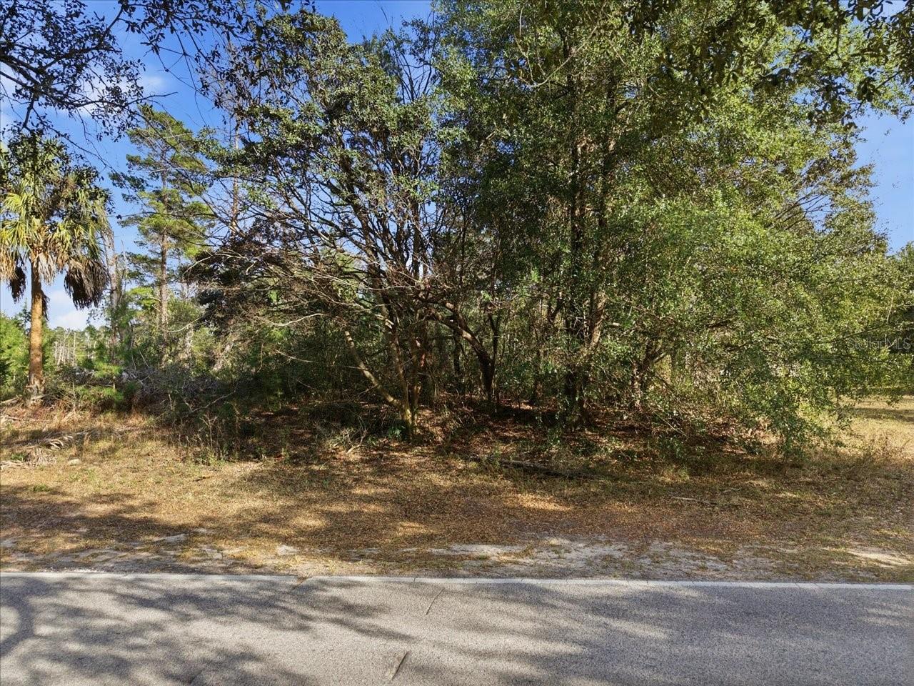 SUGARMILL WOODS OAK VILLAGE - Land