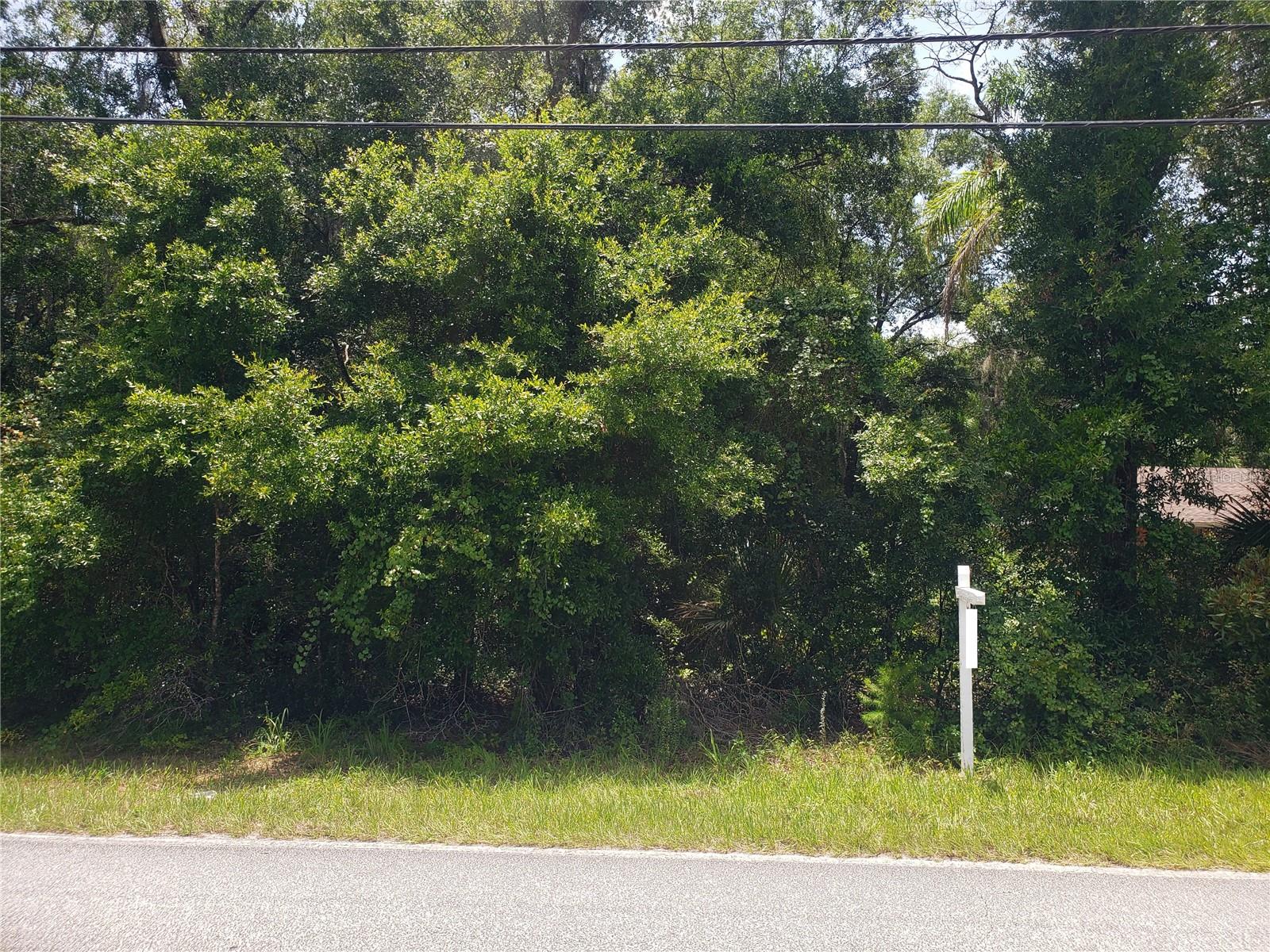 REYNOLDS ROAD