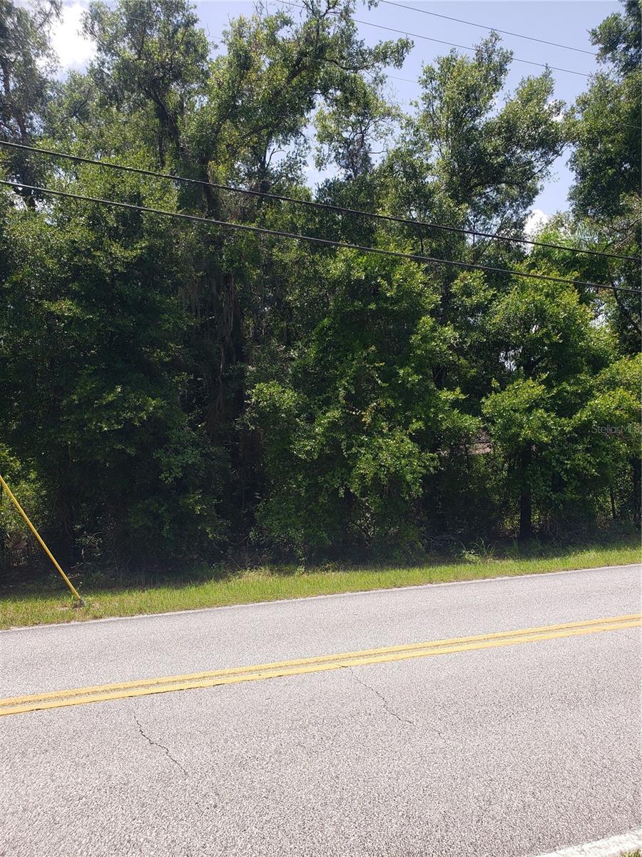 REYNOLDS ROAD