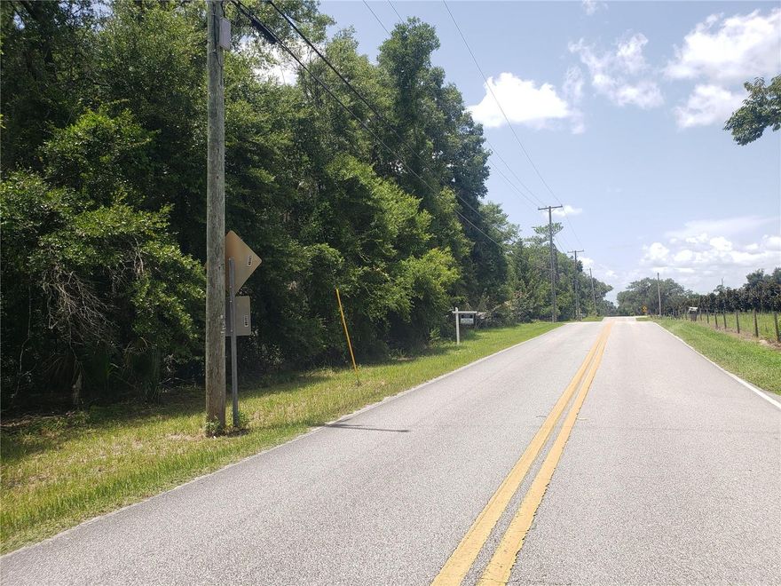 Zoned R4 Residential, vacant land lot right on PAVED Reynolds Rd for easy access to use as you please. Near by HWY 17 and only 2 miles from De Leon Springs State Park. Seller has two lots available, not contiguous, but very close to each other.