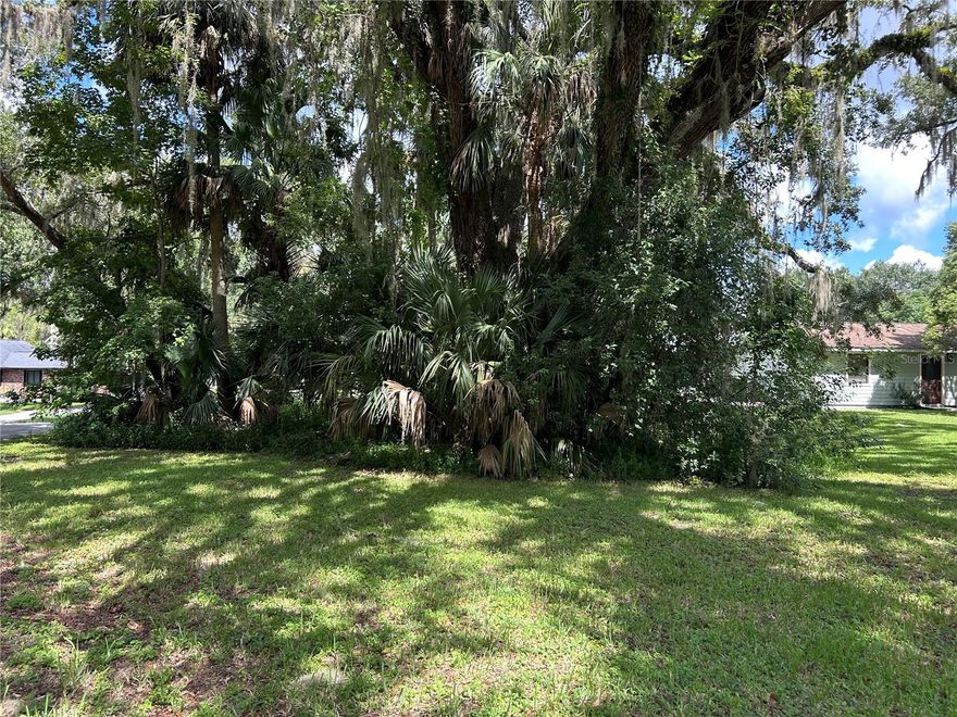 Beautiful property on a cul-de-sac. HOA fee includes use of the pool, common areas, club house and boat ramp. Property is close to restaurants and shopping. Less than 5 minutes away from the Sunrail Station in Deland. There is a large tree on the property that will need to be removed before building. Please do your due diligence with Volusia County.