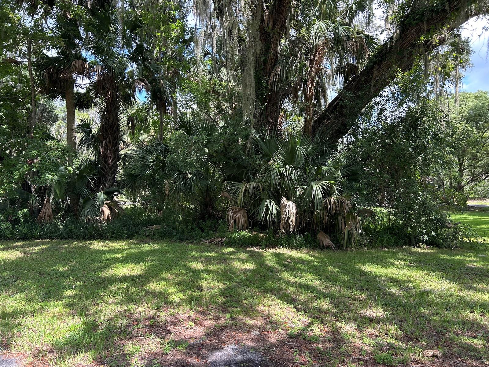 2711 BLUE HERON VILLAGE