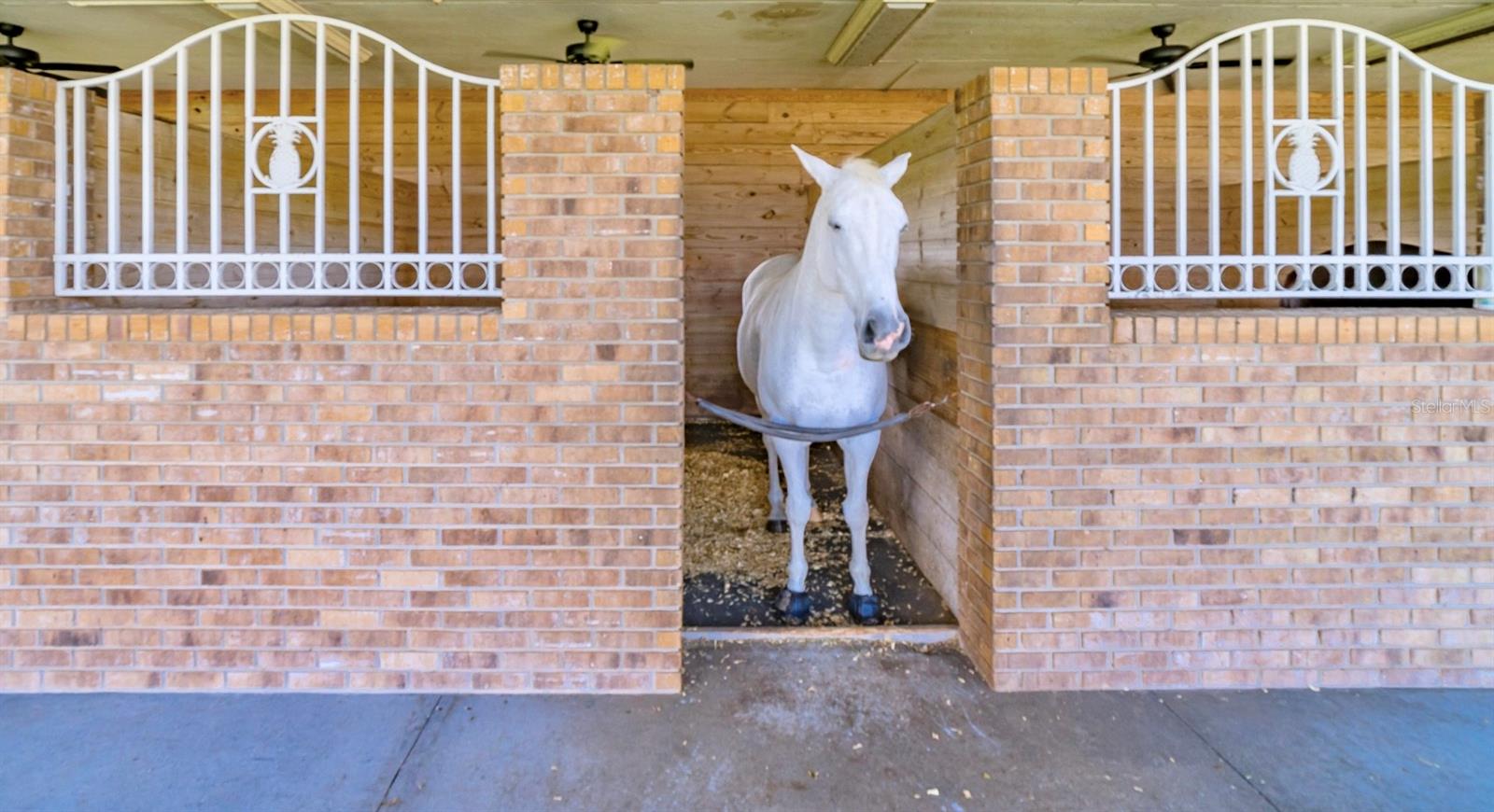 0000-NOT PART OF A SUBDIVISION - Residential