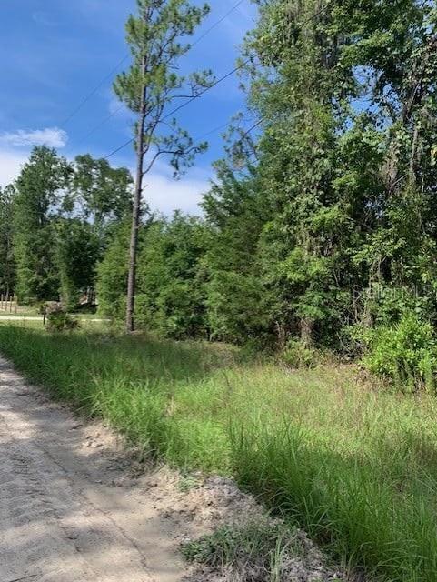 AFFORDABLE 1.27 ACRE lot just north of Bell! This residential lot allows mobile homes or site-built homes. No deed restrictions and no HOA. This nice square lot has natural hardwoods on it and would make for the perfect future homesite with the option to keep as much privacy as desired. Close to several local springs, rivers, and public boat ramps, but not in flood zone. Not far off a paved road. Located in Gilchrist County with low property taxes and "A" rated schools. Call today!