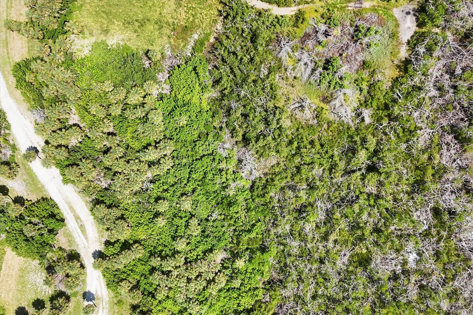 SABAL PALM POINT - Land