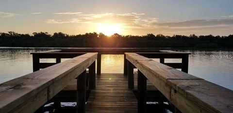 295 E ARIEL ROAD OAK HILL FL 32759