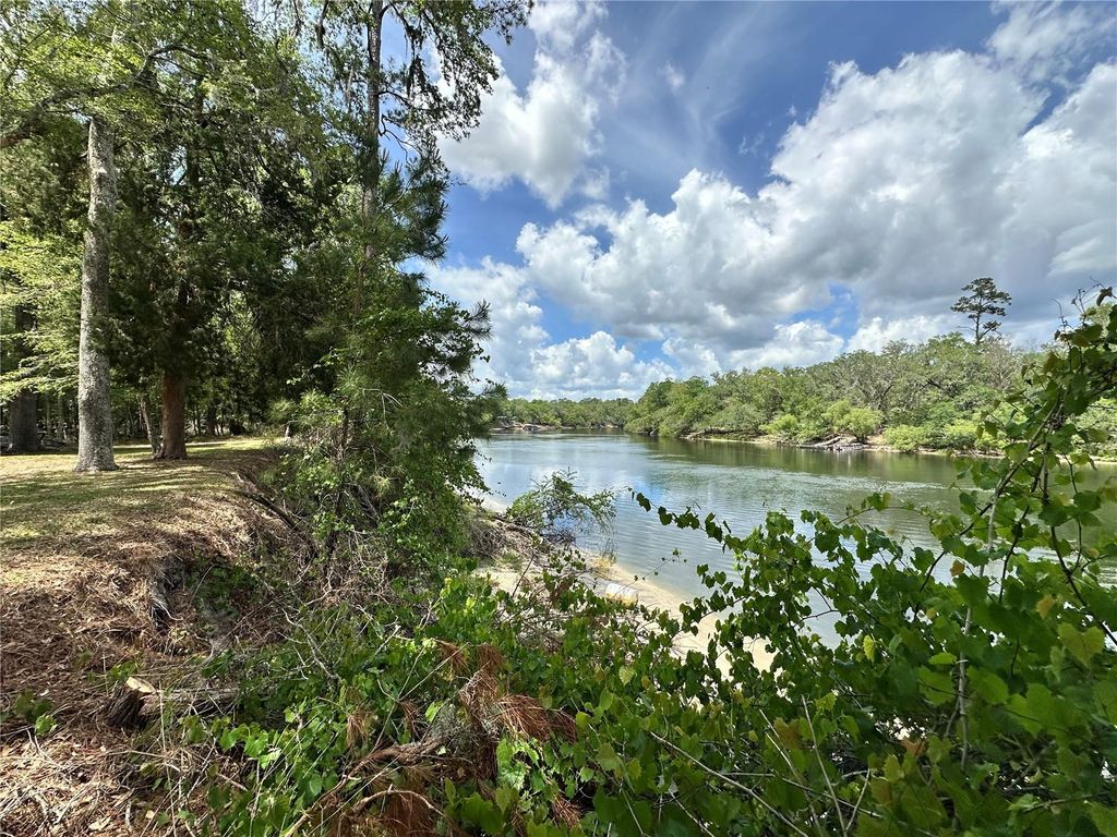 Photo of 3019 NE 709th Avenue, Old Town, FL 32680 (MLS # GC540347)