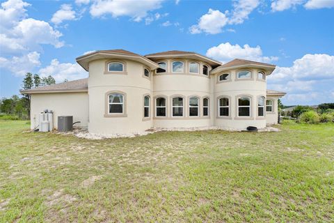 A home in POLK CITY