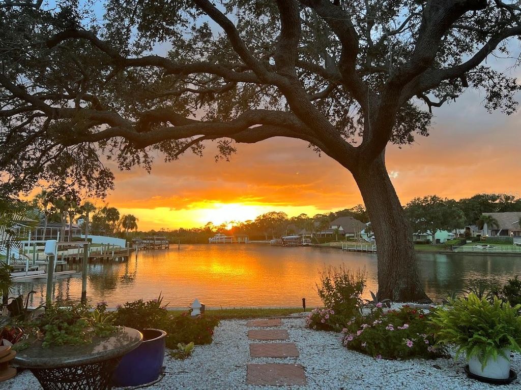 Photo of 4202 Saltwater Boulevard, Tampa, FL 33615 (MLS # TB8442994)