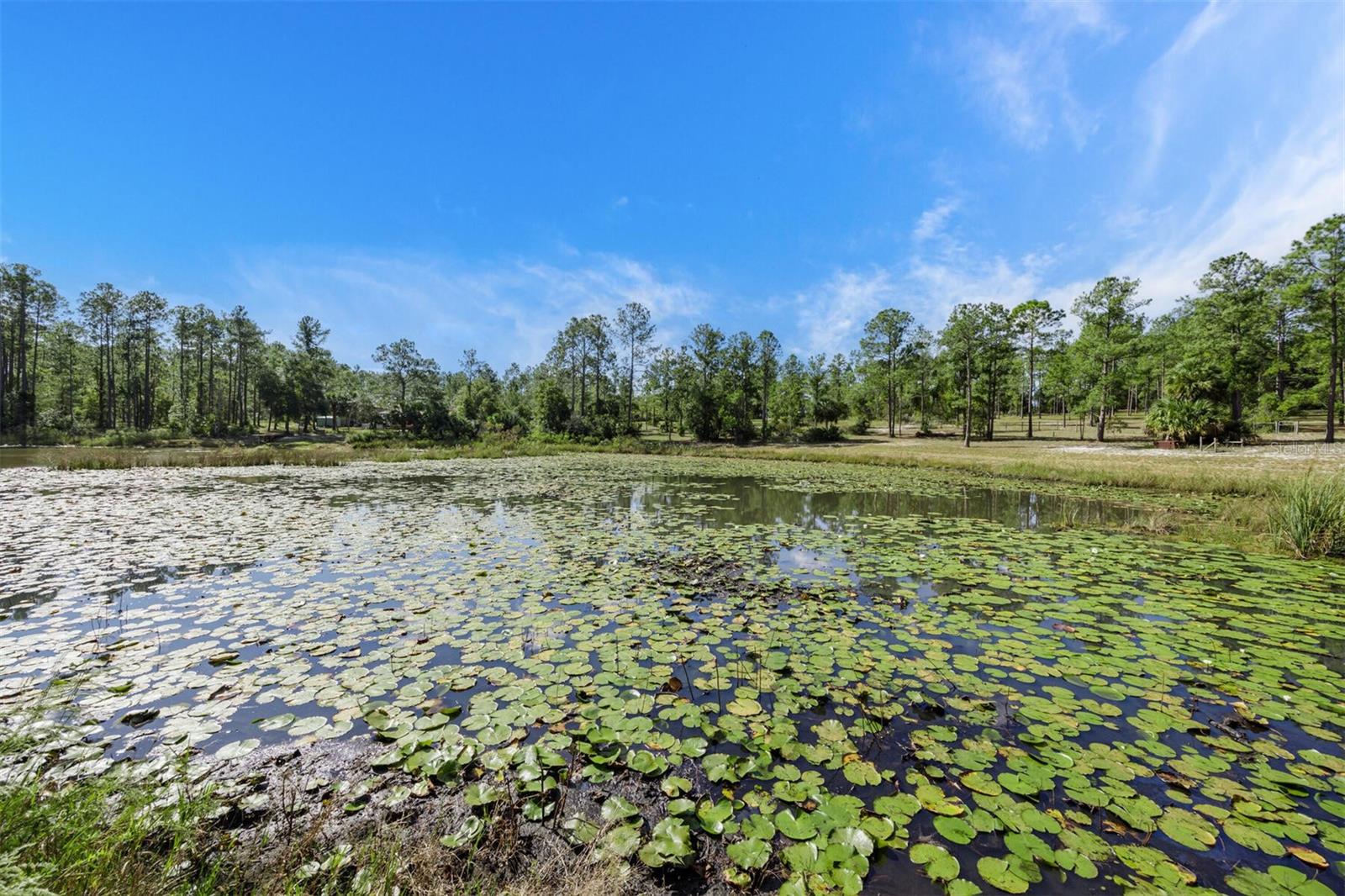 NOT IN SUBDIVISION - Residential