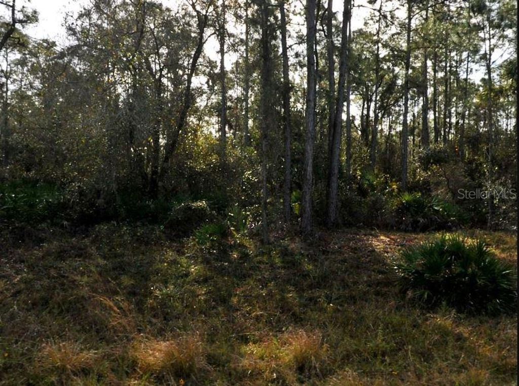 Photo of Lestock Avenue, North Port, FL 34288 (MLS # O6189744)