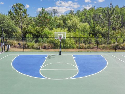 A home in WESLEY CHAPEL