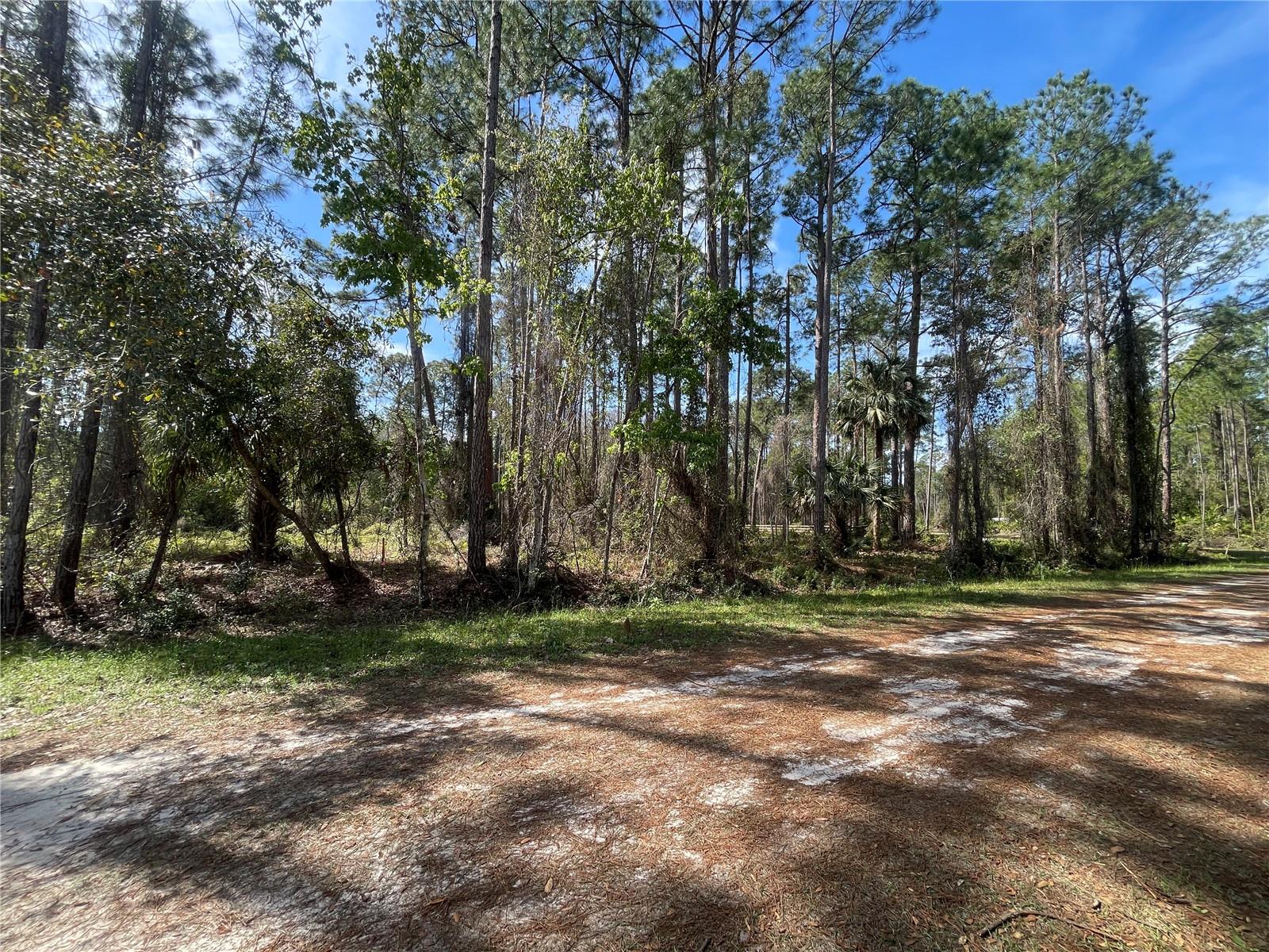 PARADISE LAKES SUB - Land